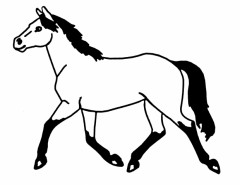 Staldren Muksalve