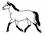 Staldren 25 kg